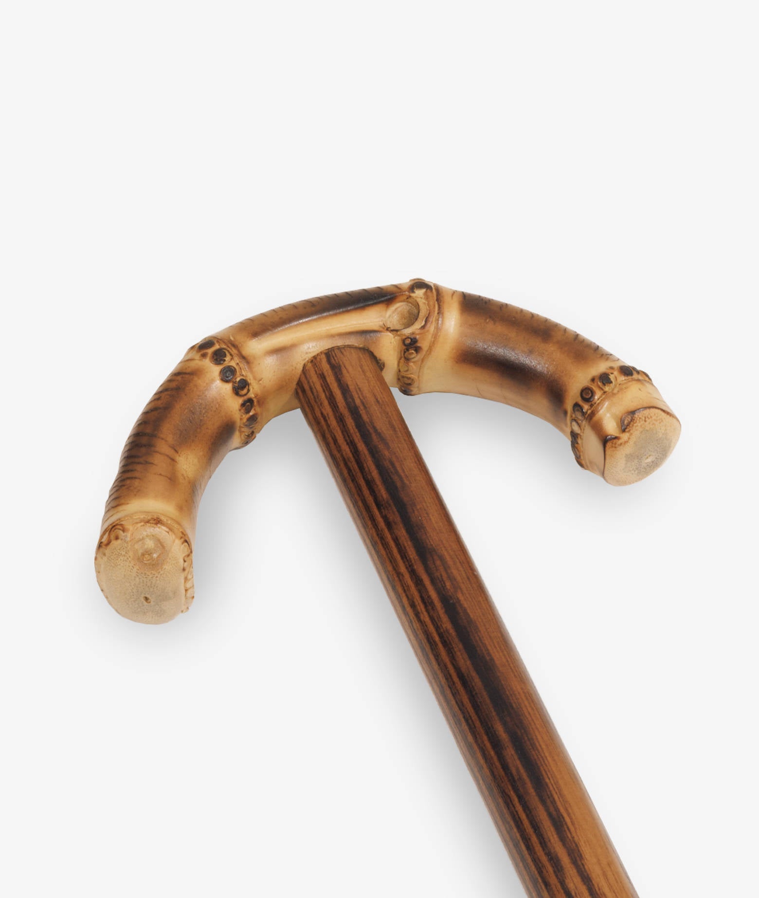 Walking Stick Byron Brown Sticks