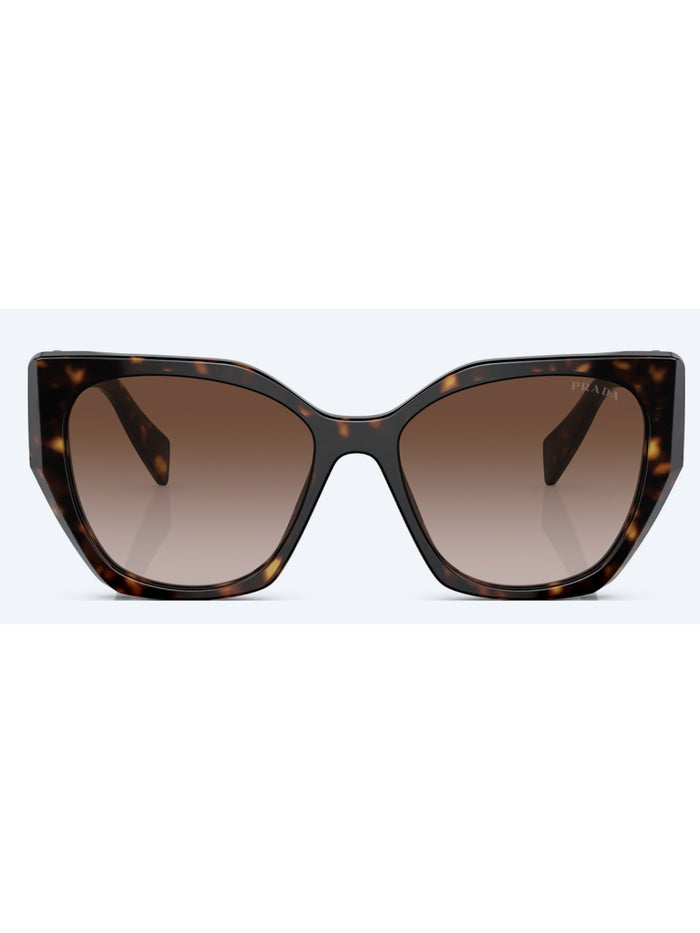 1fxd4mx0a Brown Acetate | Celluloide Glasses