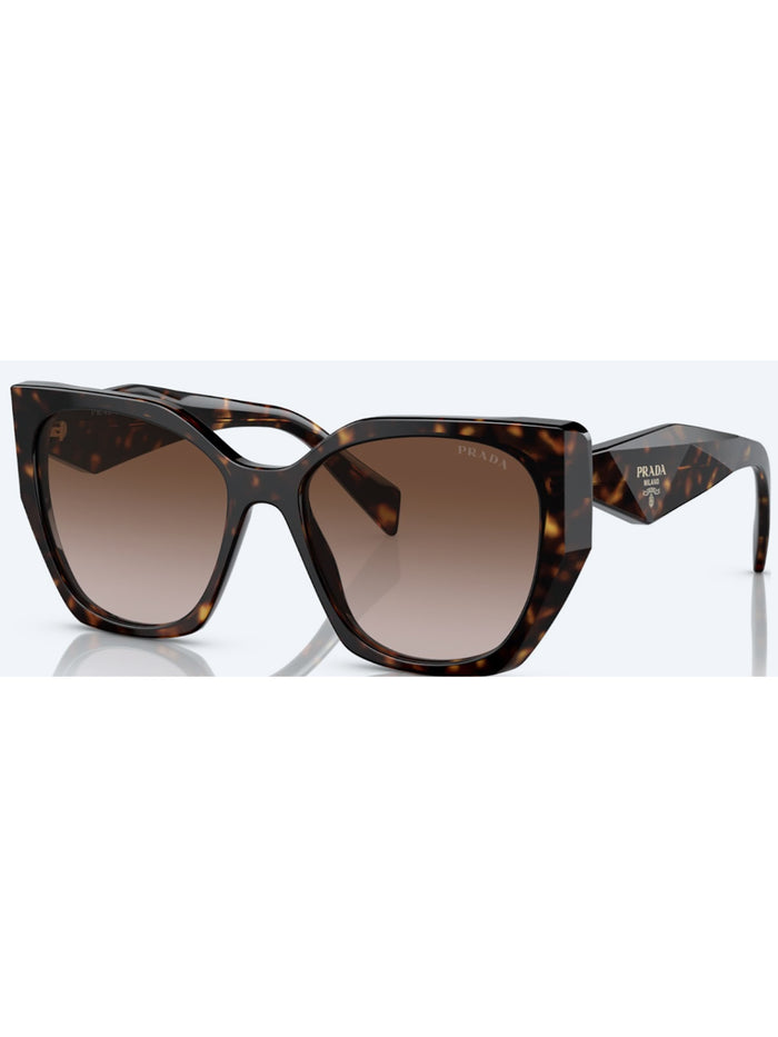 1fxd4mx0a Brown Acetate | Celluloide Glasses