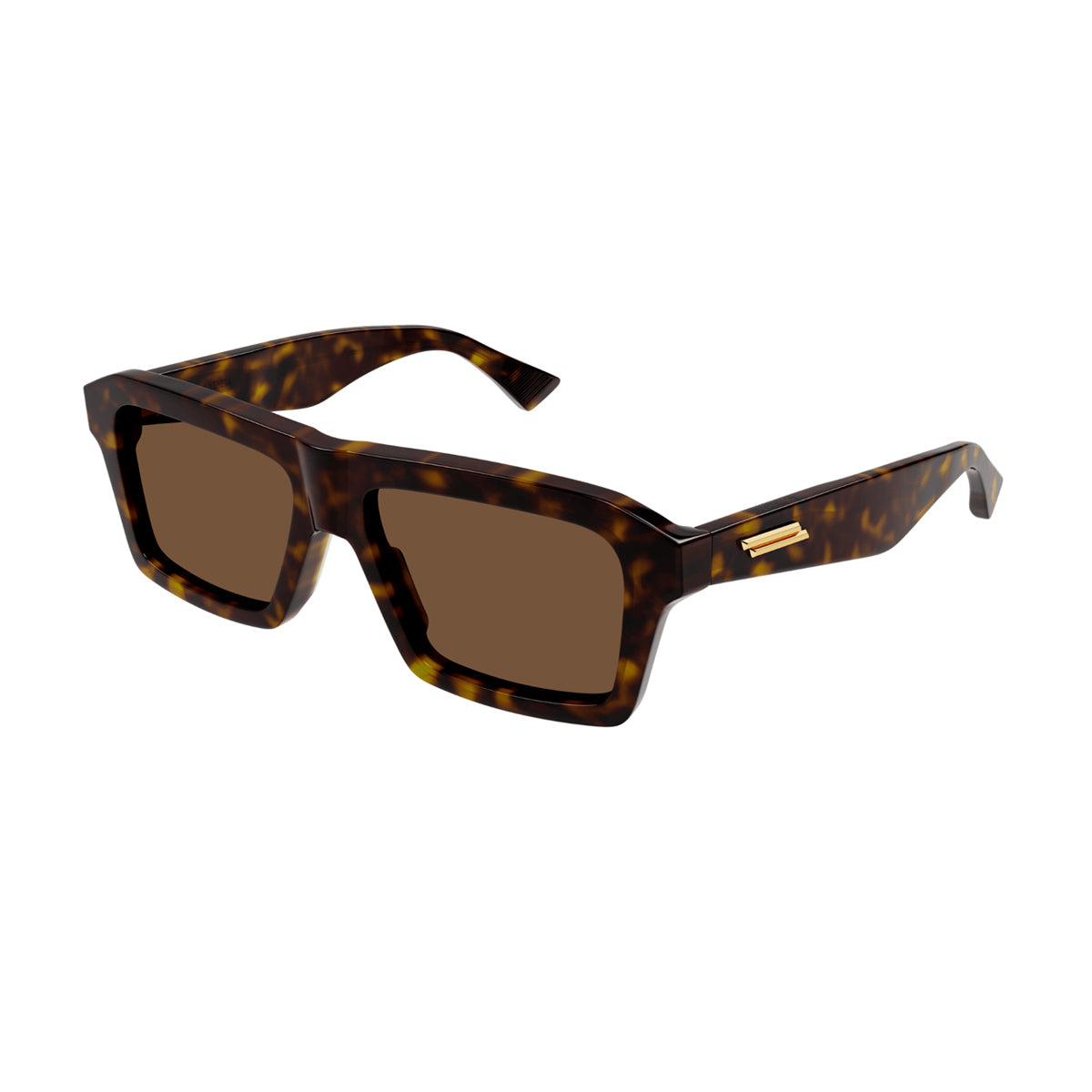 BV1213S Marrone Celluloid Occhiali Sole