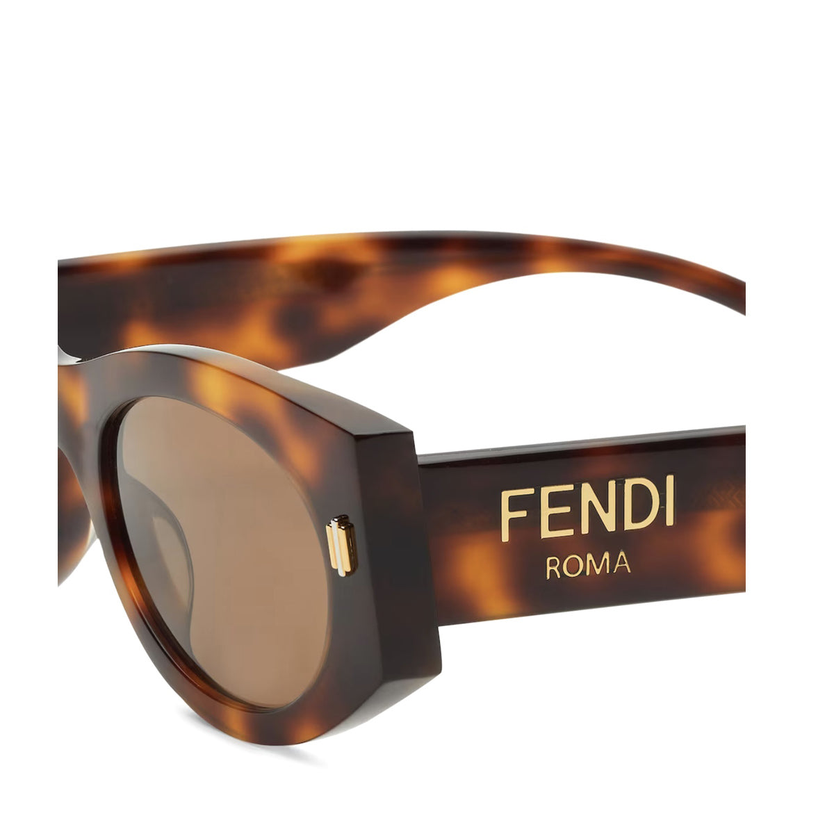 FE40125I Roma 53e Marrone Acetate/metal Occhiali Sole