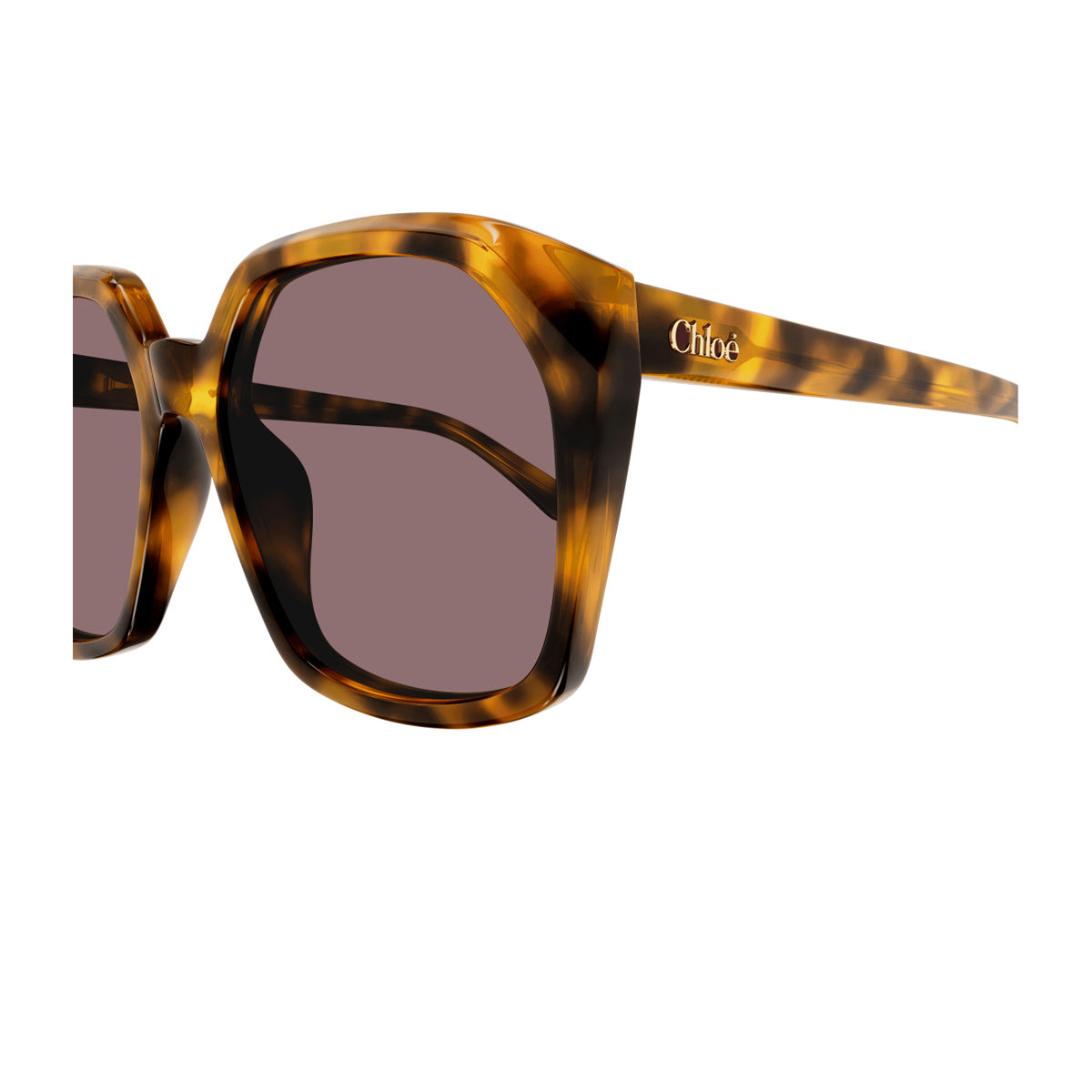 Chloé CH0280S Linea 004 Havana Violet Marrone Acetate Occhiali Da Sole