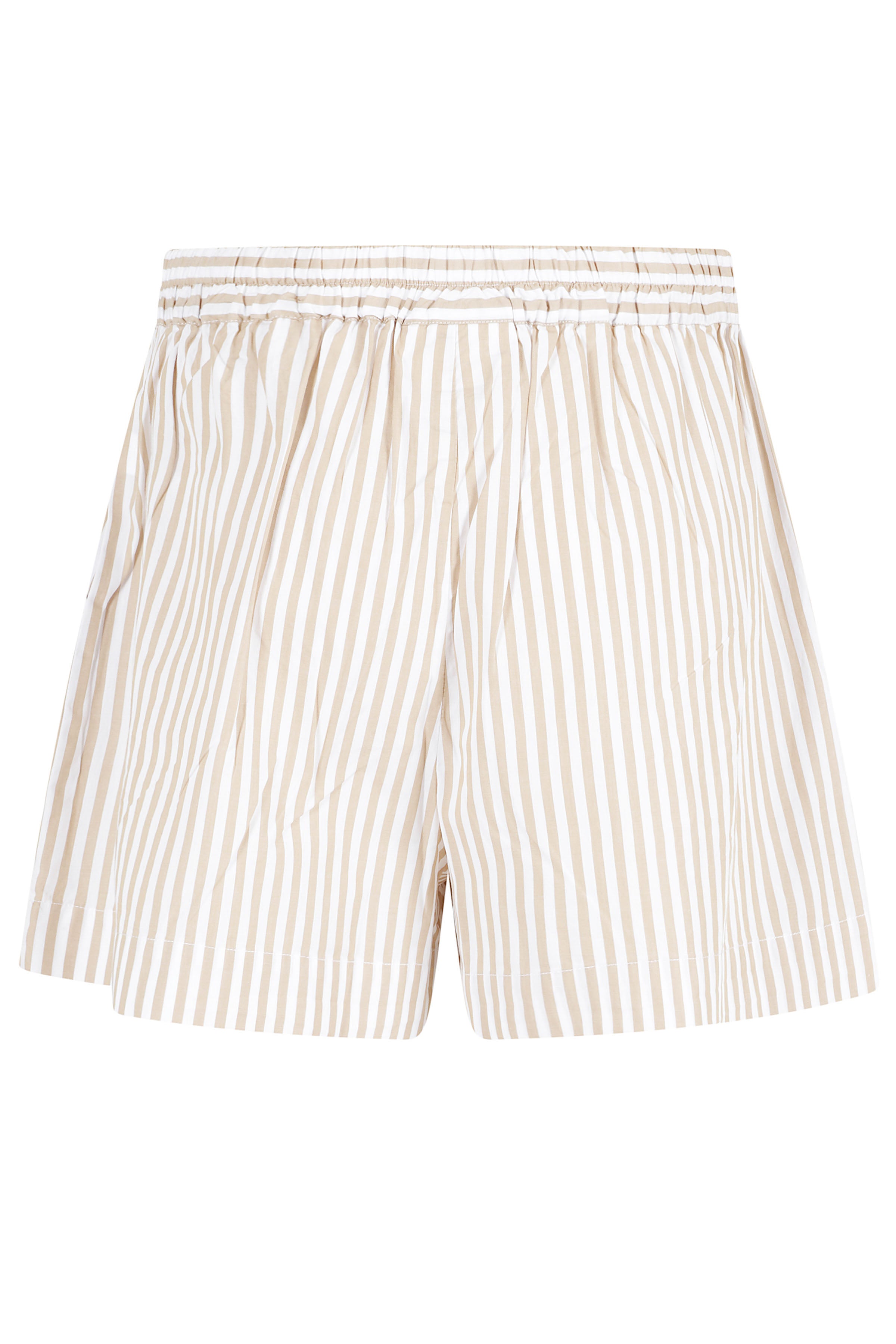 Shorts Brown Cotone