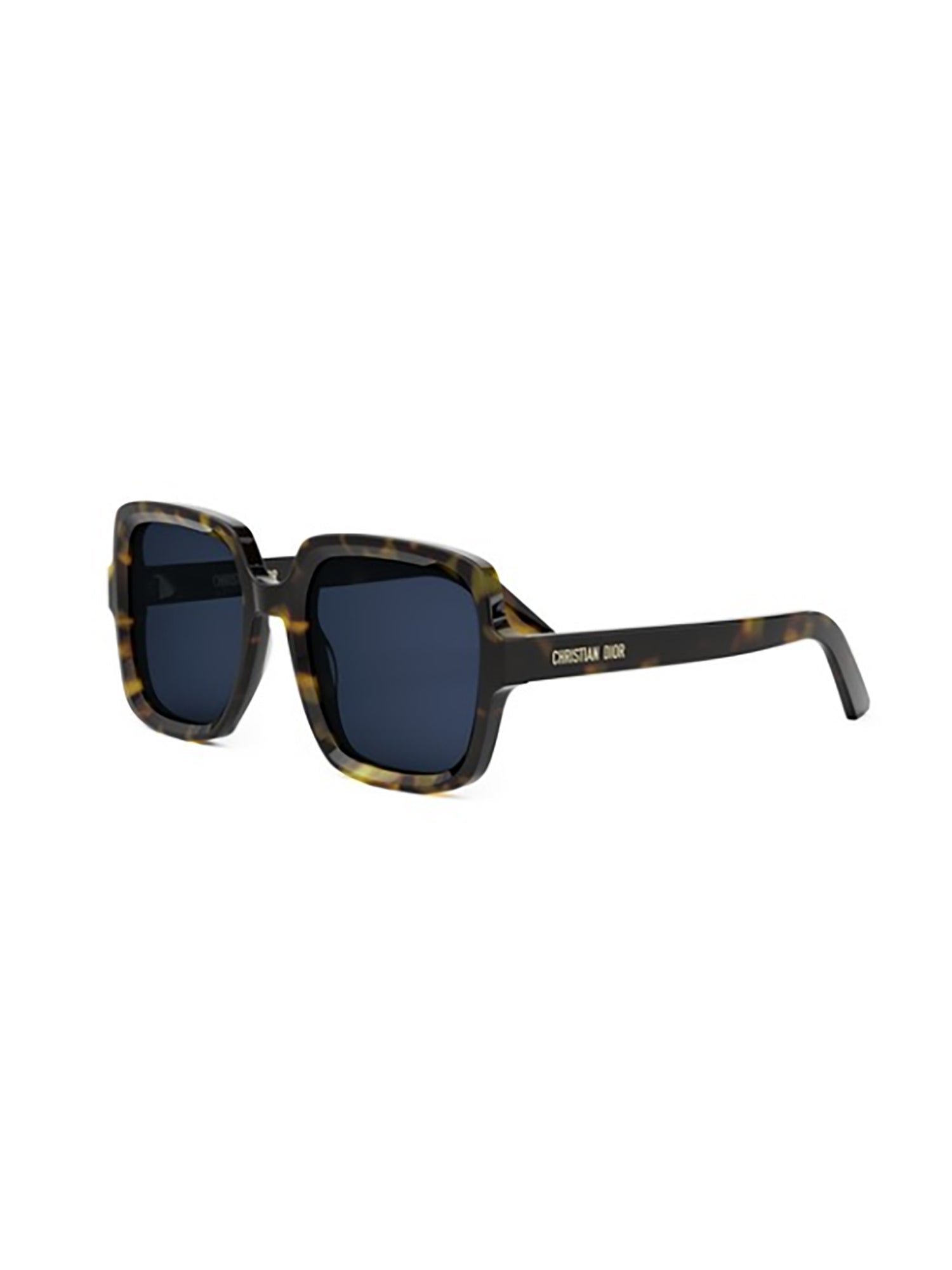 1m6x55i0a Brown Acetate | Sunglasses Glasses