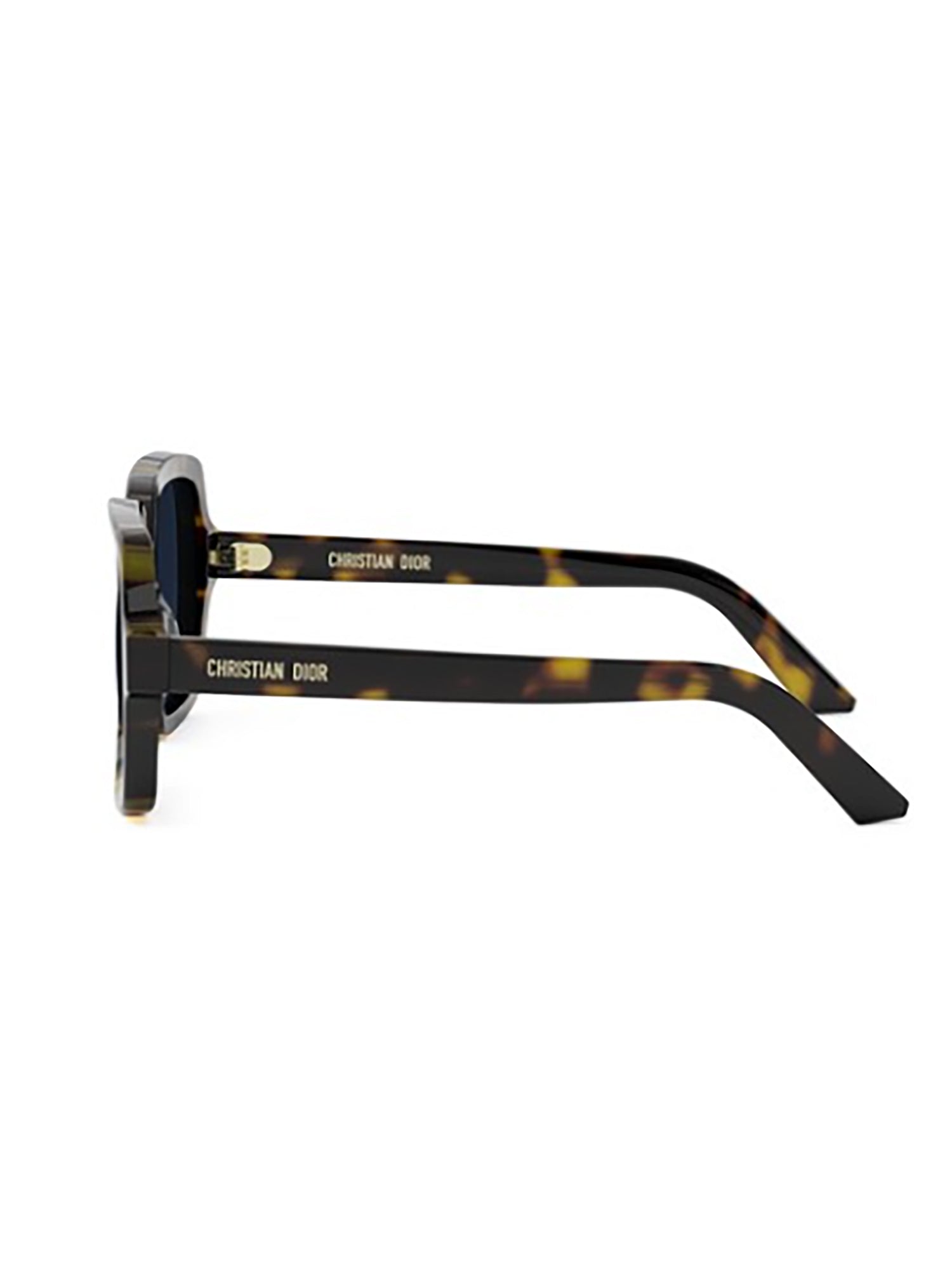 1m6x55i0a Brown Acetate | Sunglasses Glasses