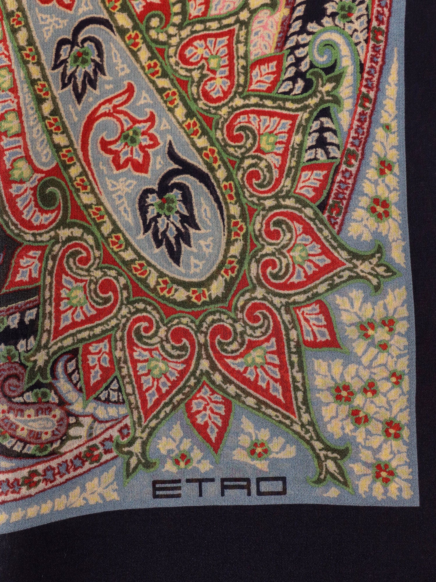 Etro Scarfs Multicolour Seta