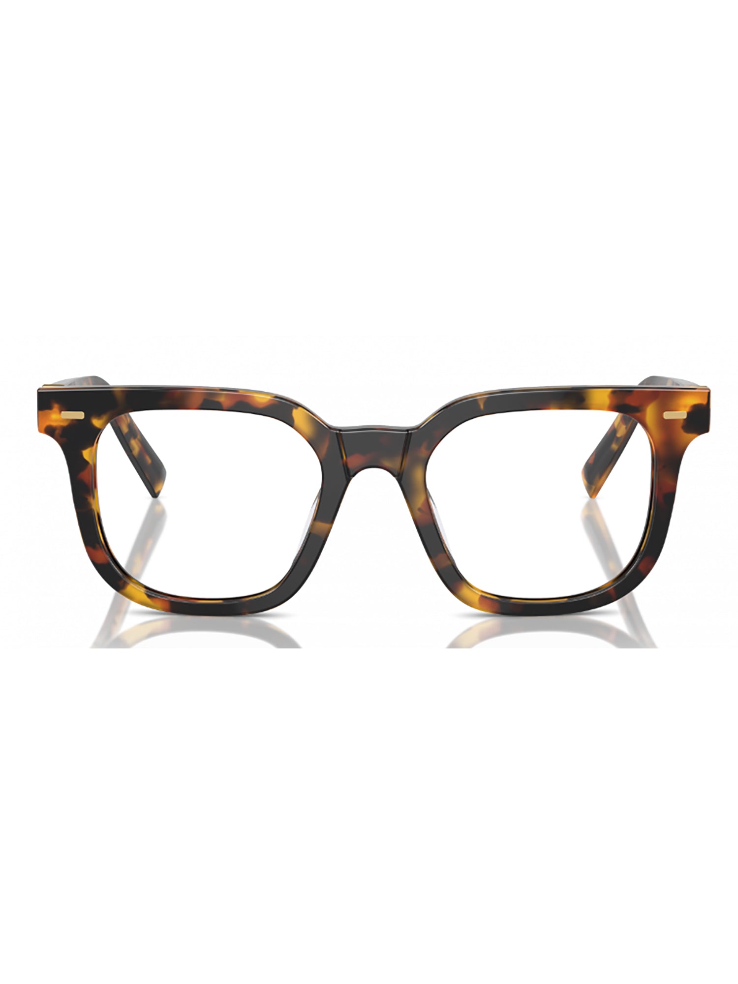 1mxb5750a Brown Acetate | Glasses