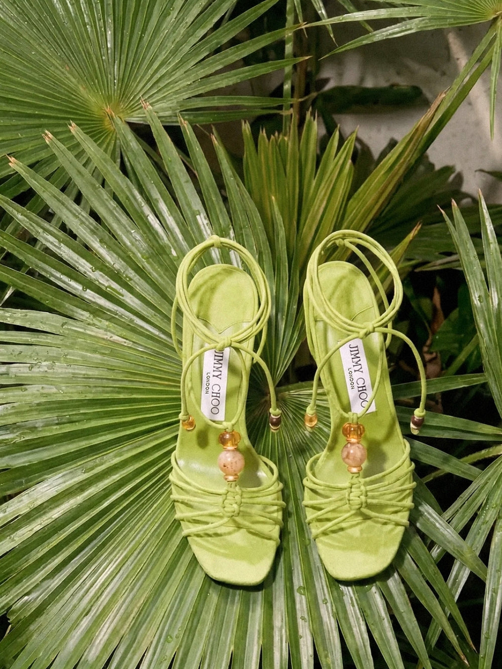 Season’s Favorite Heel