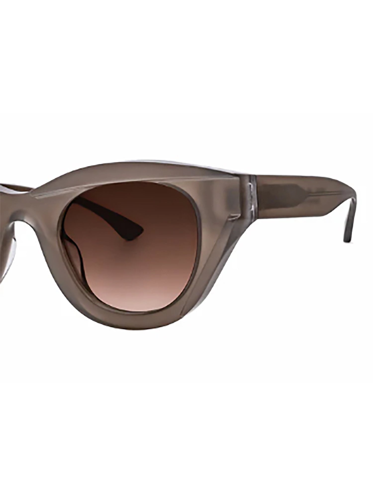 1nwt59t0a Brown Acetate | Glasses