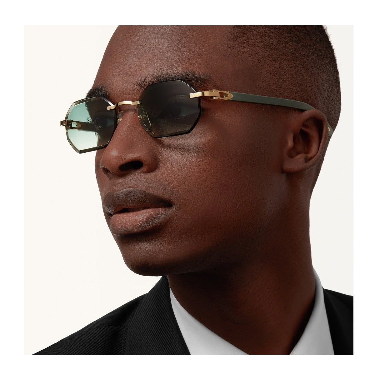 Cartier Ct0439s Décor C Allongé De Green Legno Sunglasses