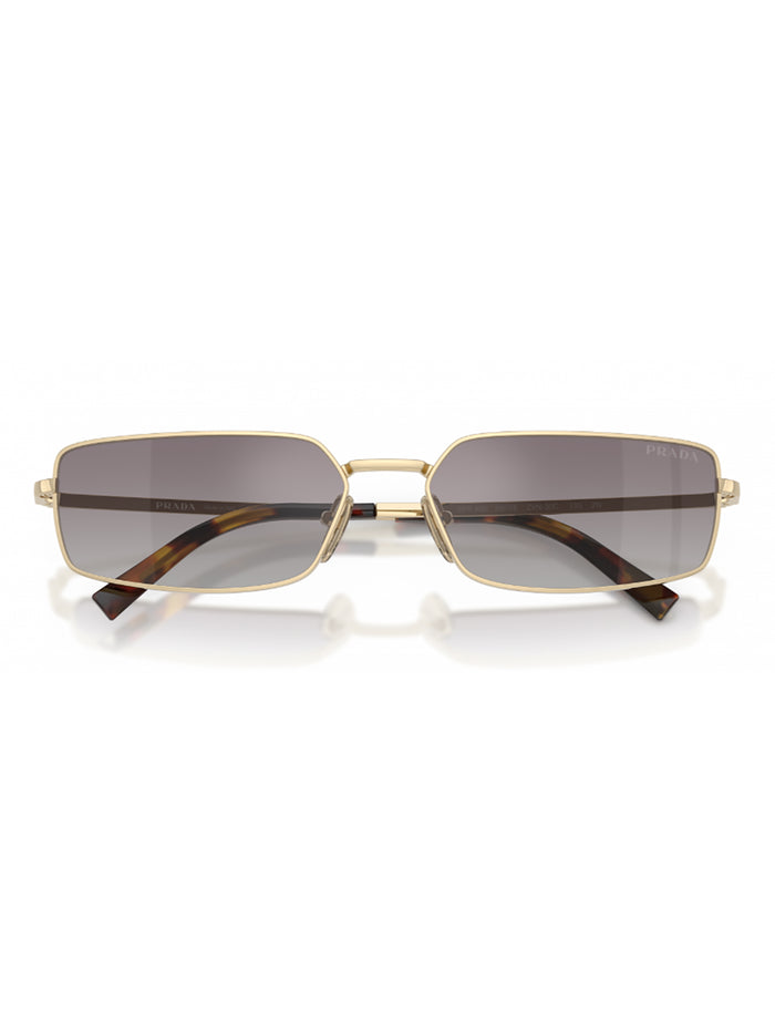 1pms5g70a C Metal (other) | Glasses