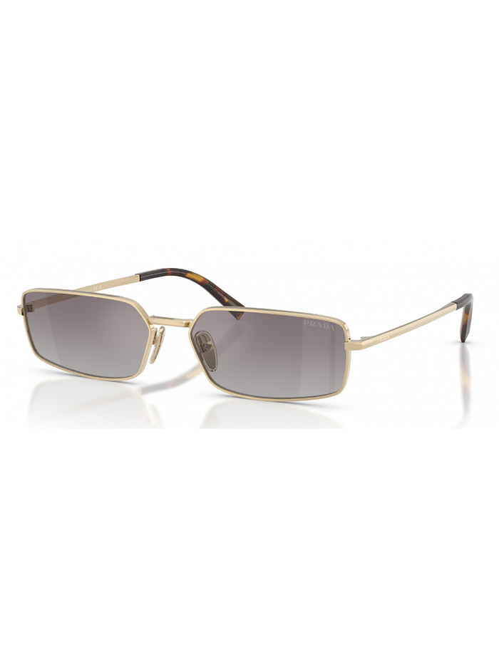 1pms5g70a C Metal (other) | Glasses