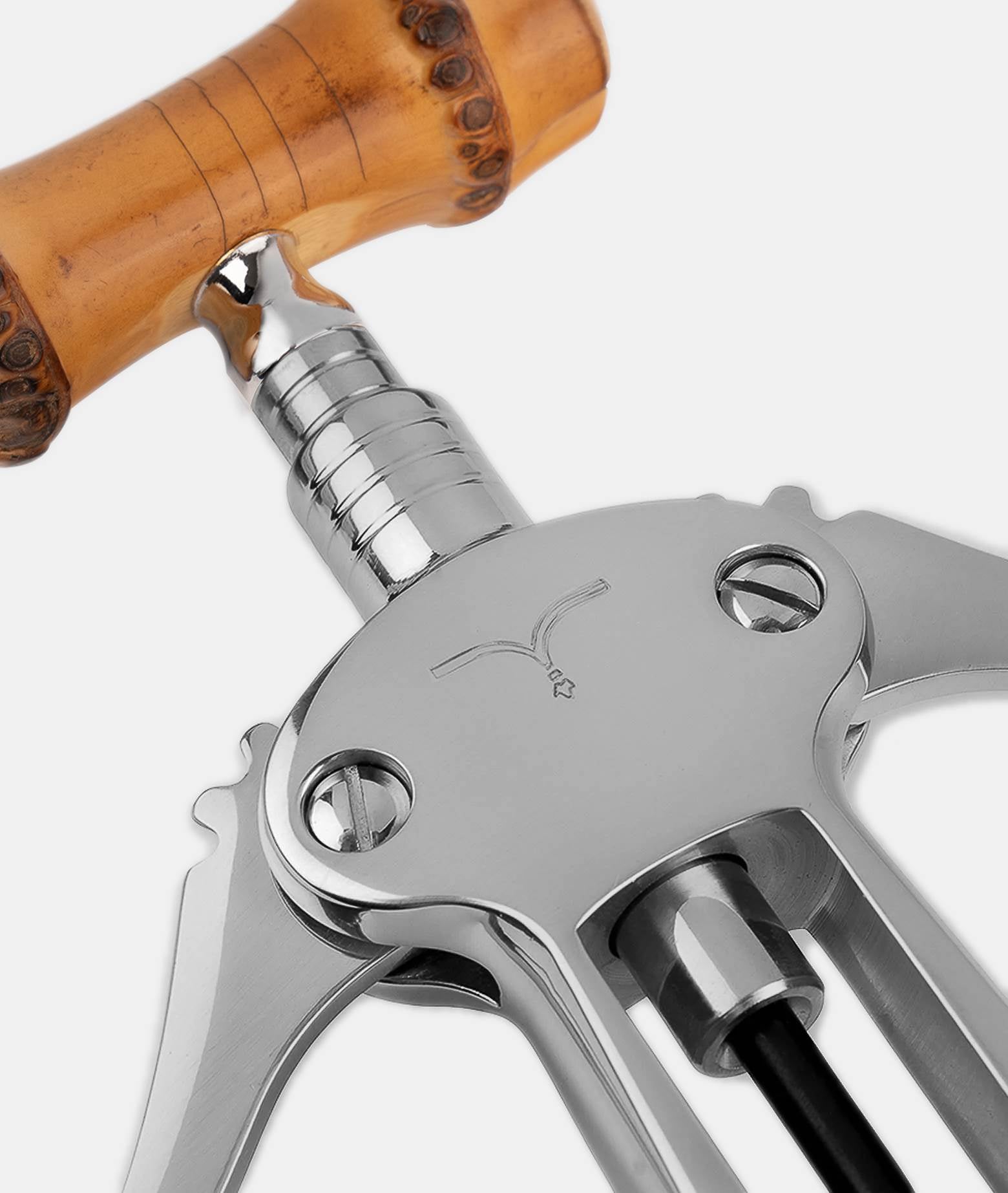 Corkscrew Pinot Black