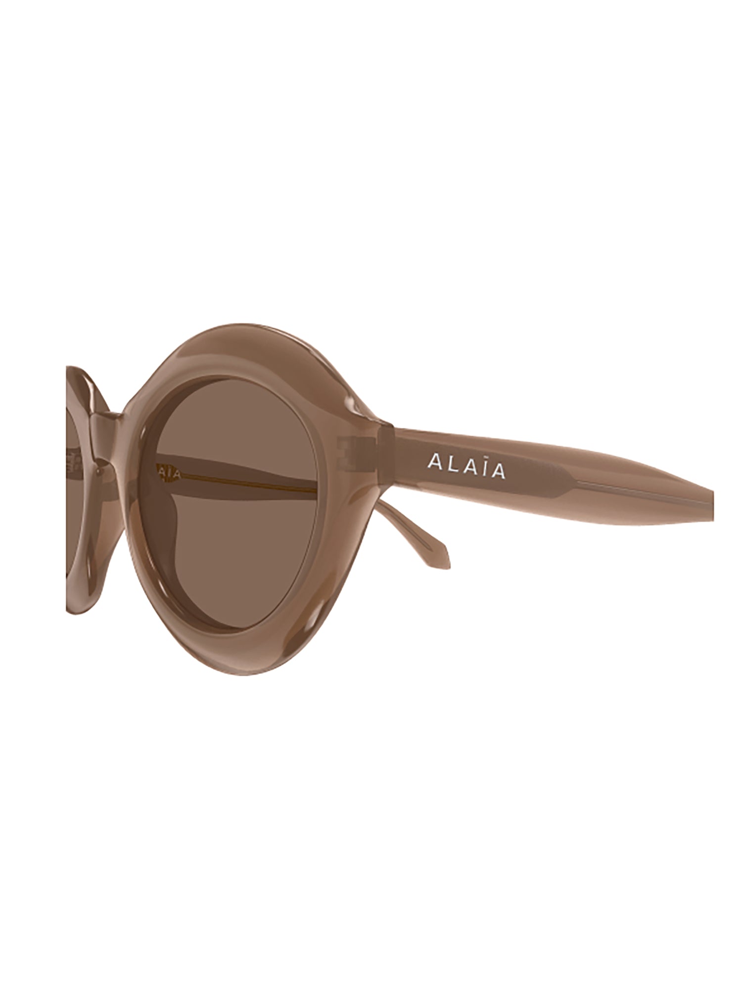 1oa55ar0a Brown Glasses