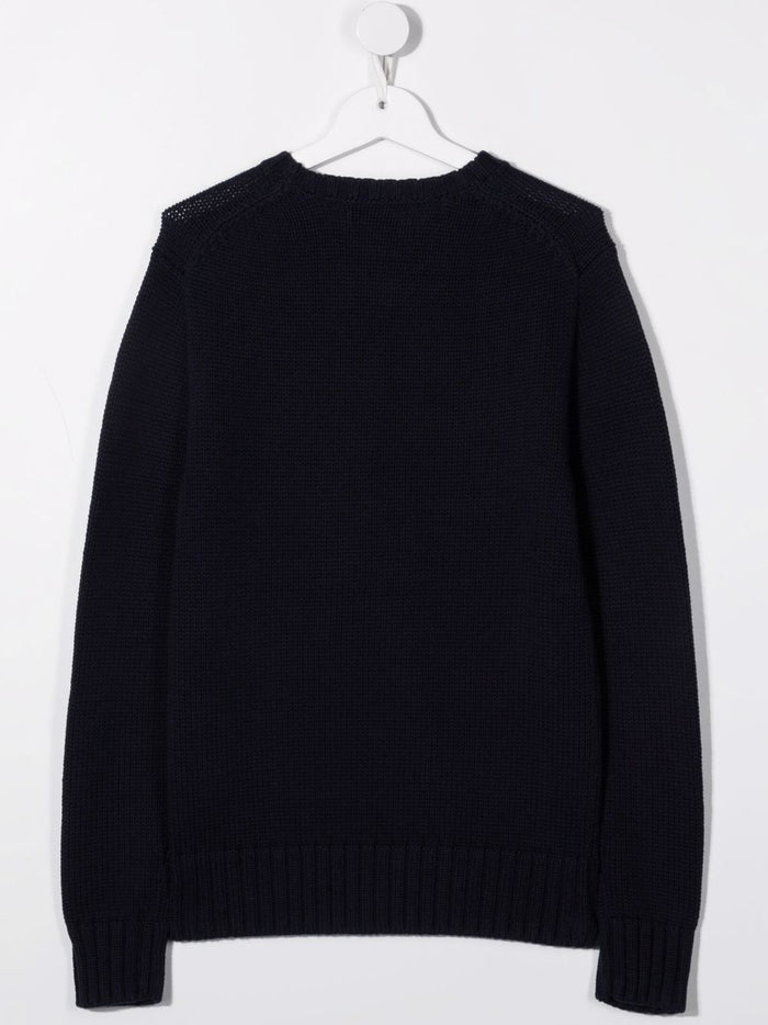 Polo Ralph Lauren Sweaters Blue Cotton