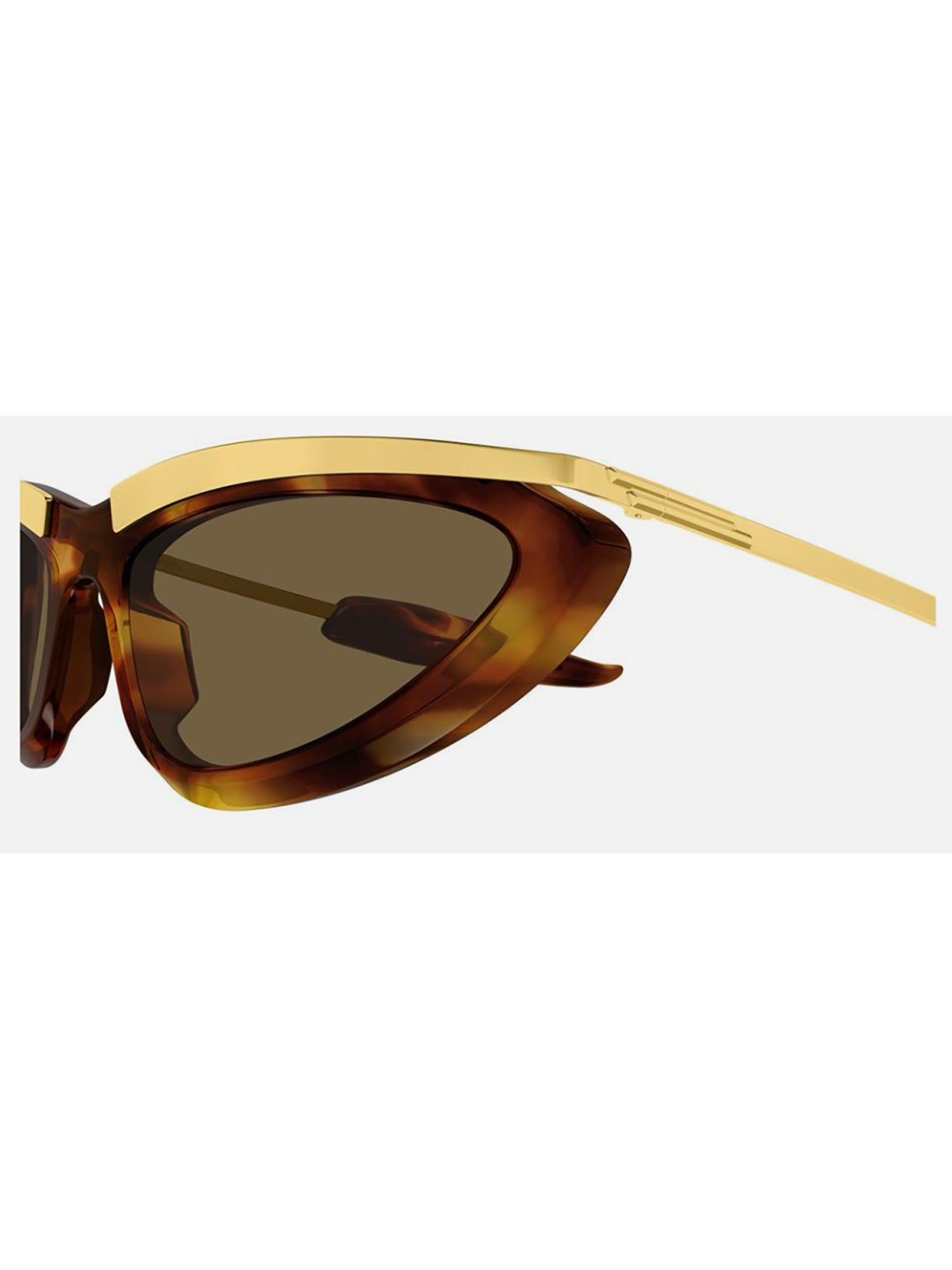 1qda5hz0a Brown Glasses