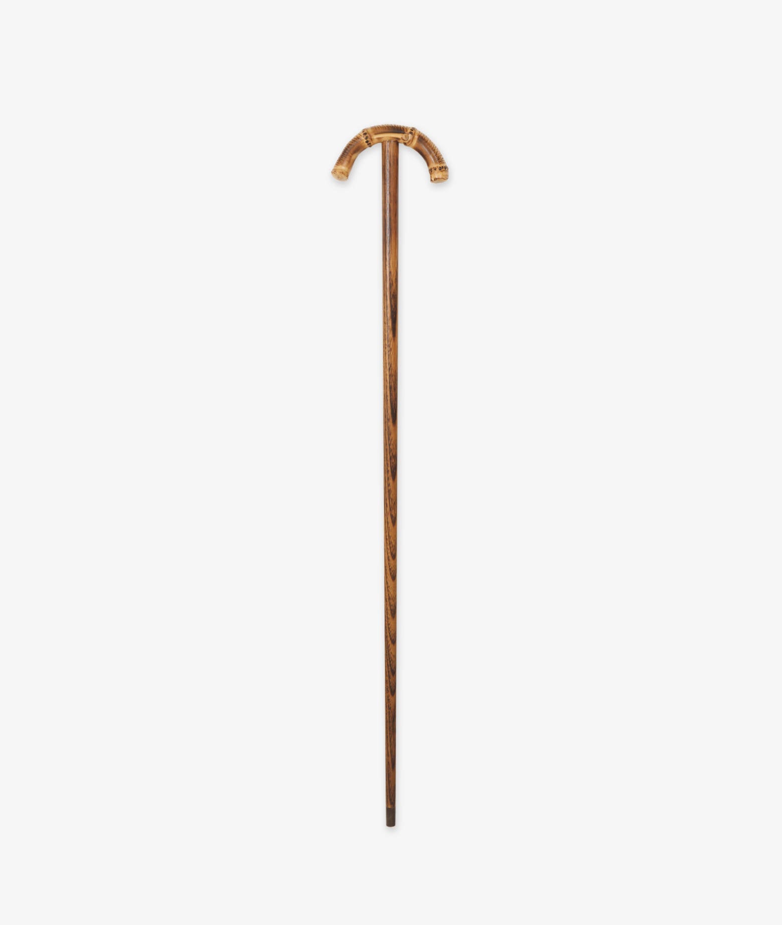 Walking Stick Byron Brown Sticks