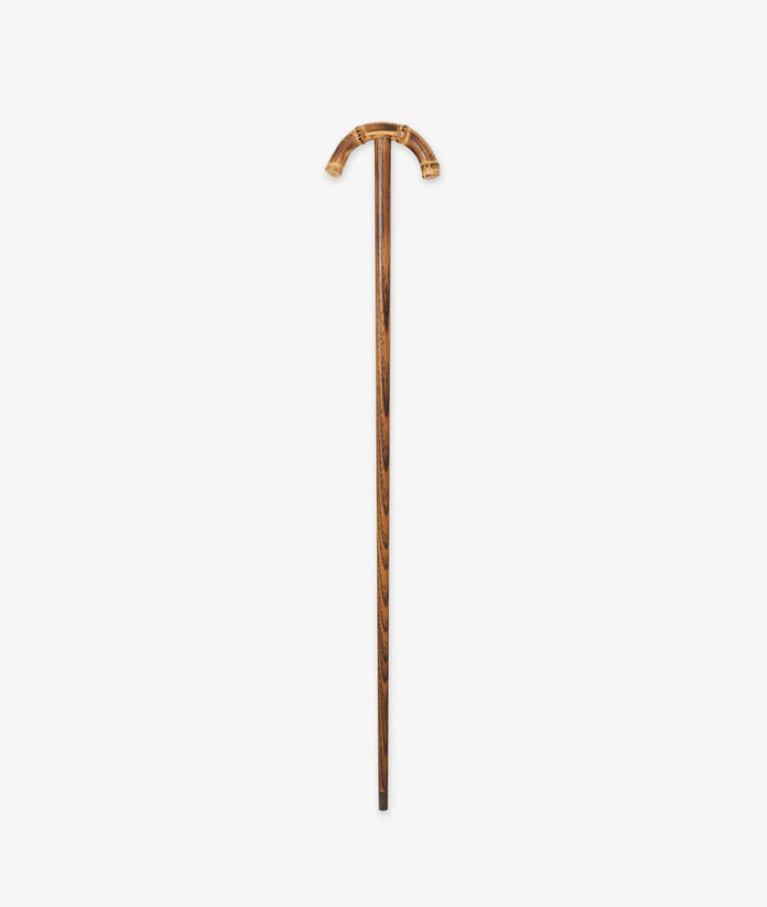 Walking Stick Byron Brown Sticks