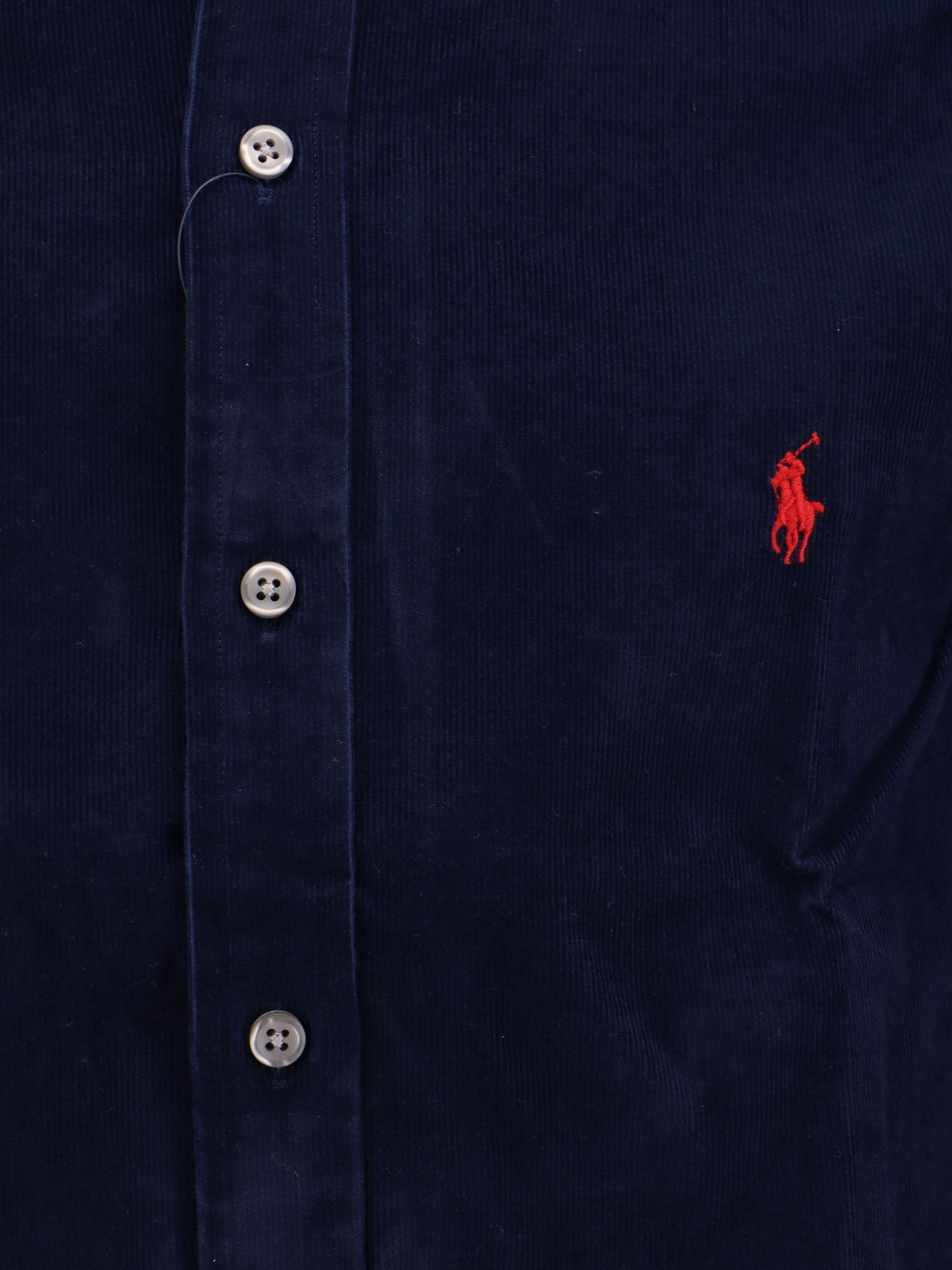 Polo Ralph Lauren T-Shirts And Polos Blue Cotone