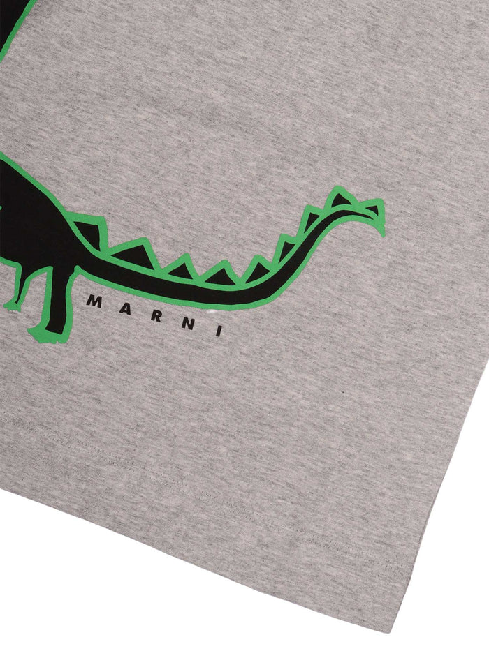 T-Shirts Grey Cotton Short Sleeves T-shirt