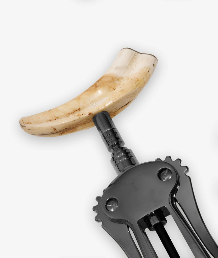 Corkscrew Zibibbo Lightgray