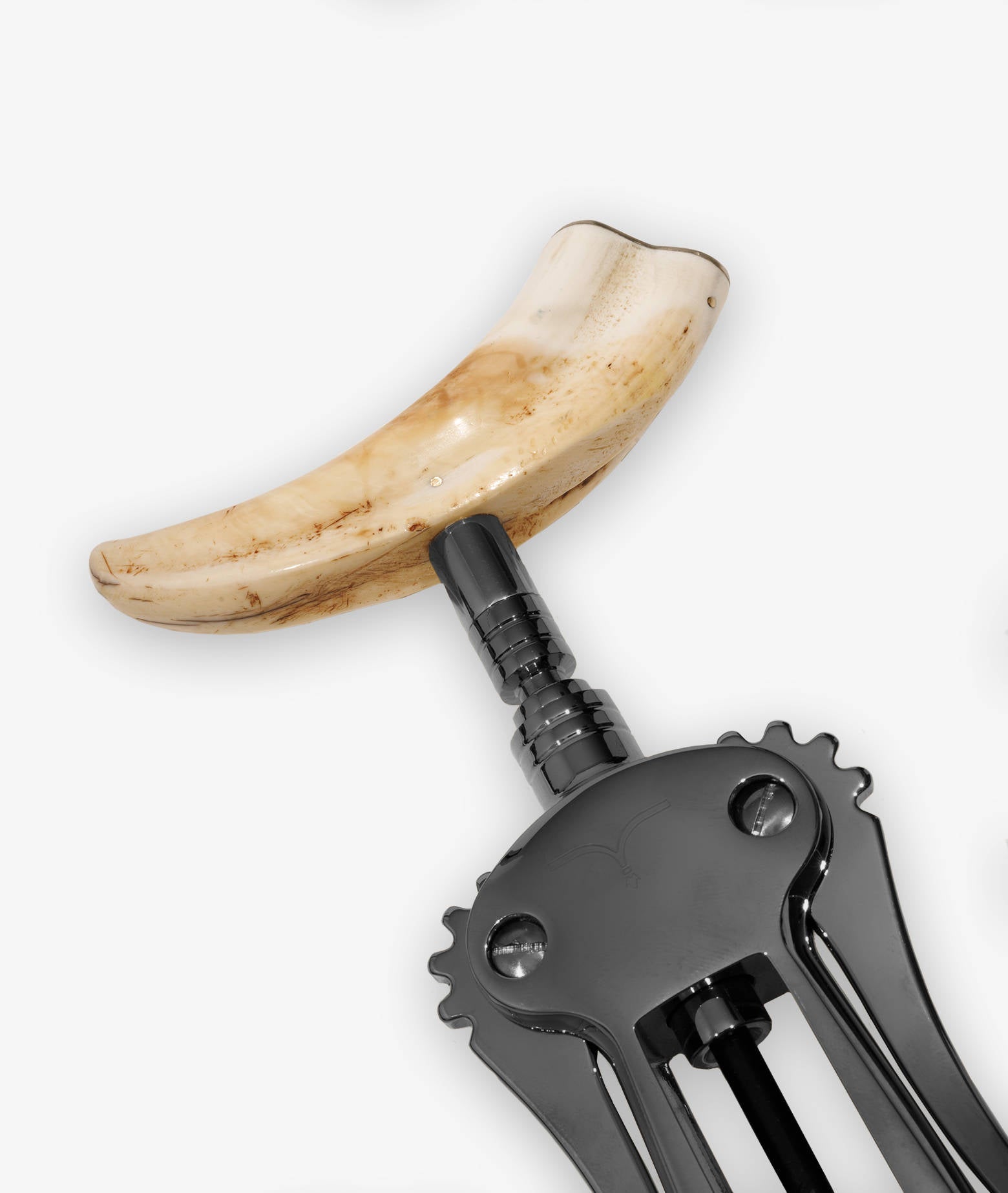 Corkscrew Zibibbo Yellow