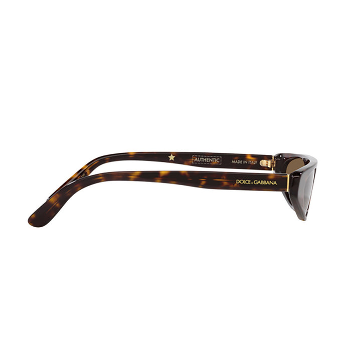 DG4442 502-73 Marrone Acetate Occhiali Sole