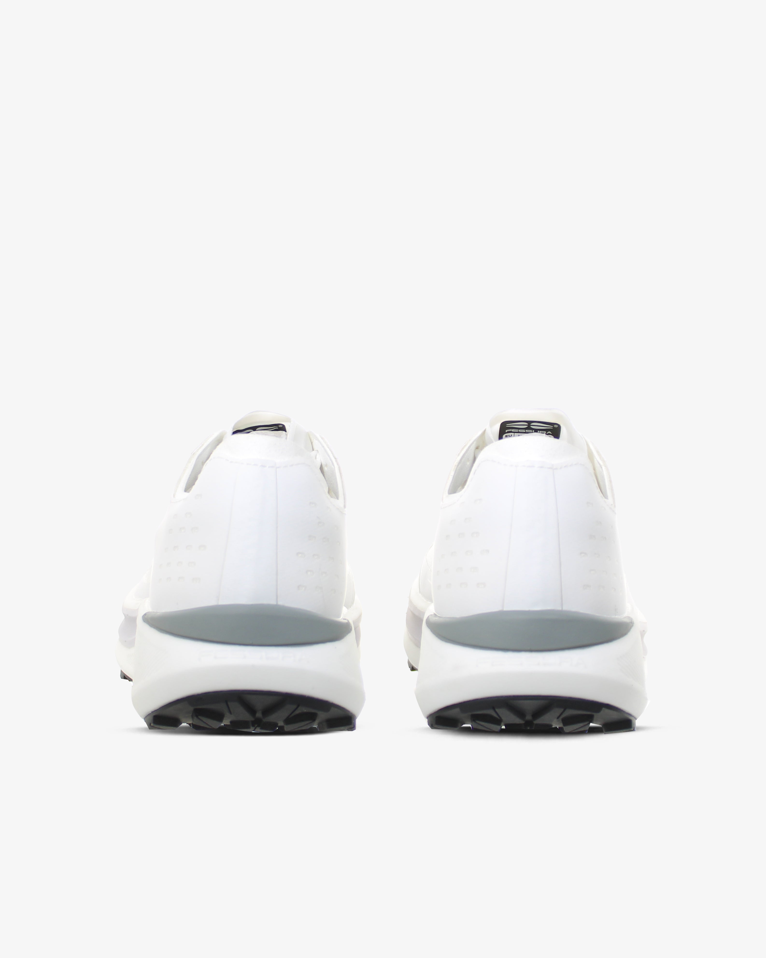 Gsr N 01 White-ice Trail
