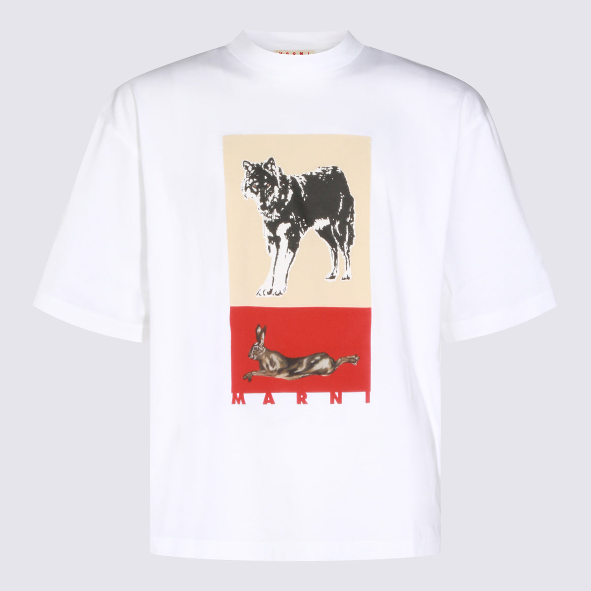Marni T-shirts and Polos Lily White _100 % Co