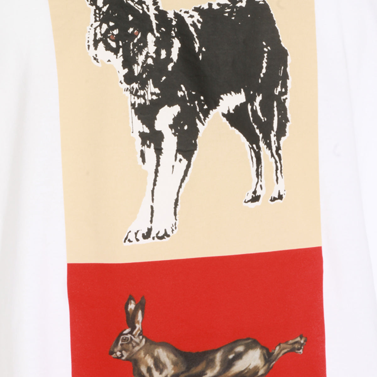 Marni T-shirts and Polos Lily White _100 % Co