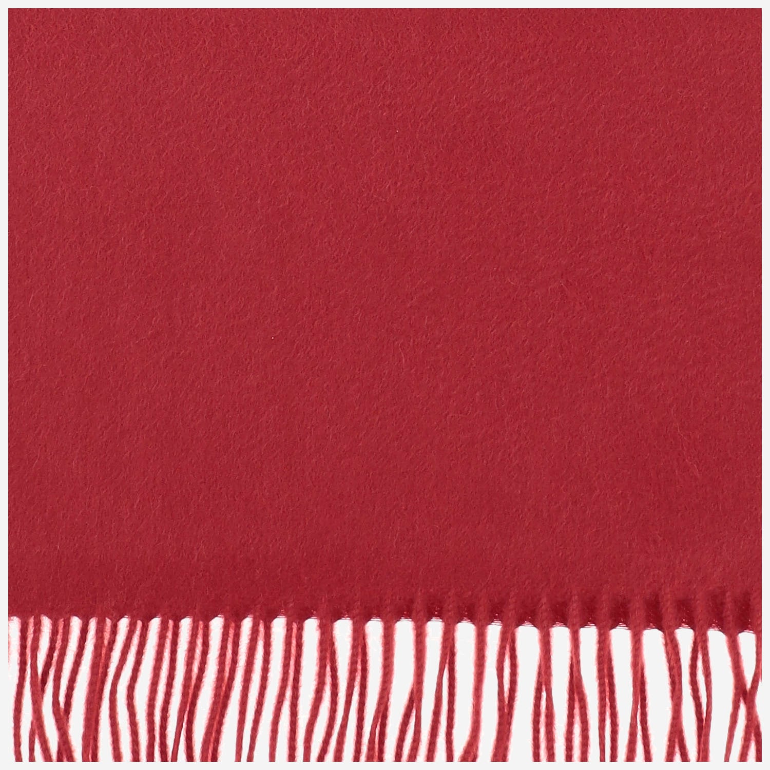 ALEX BEGG Scarfs Red Cashmere