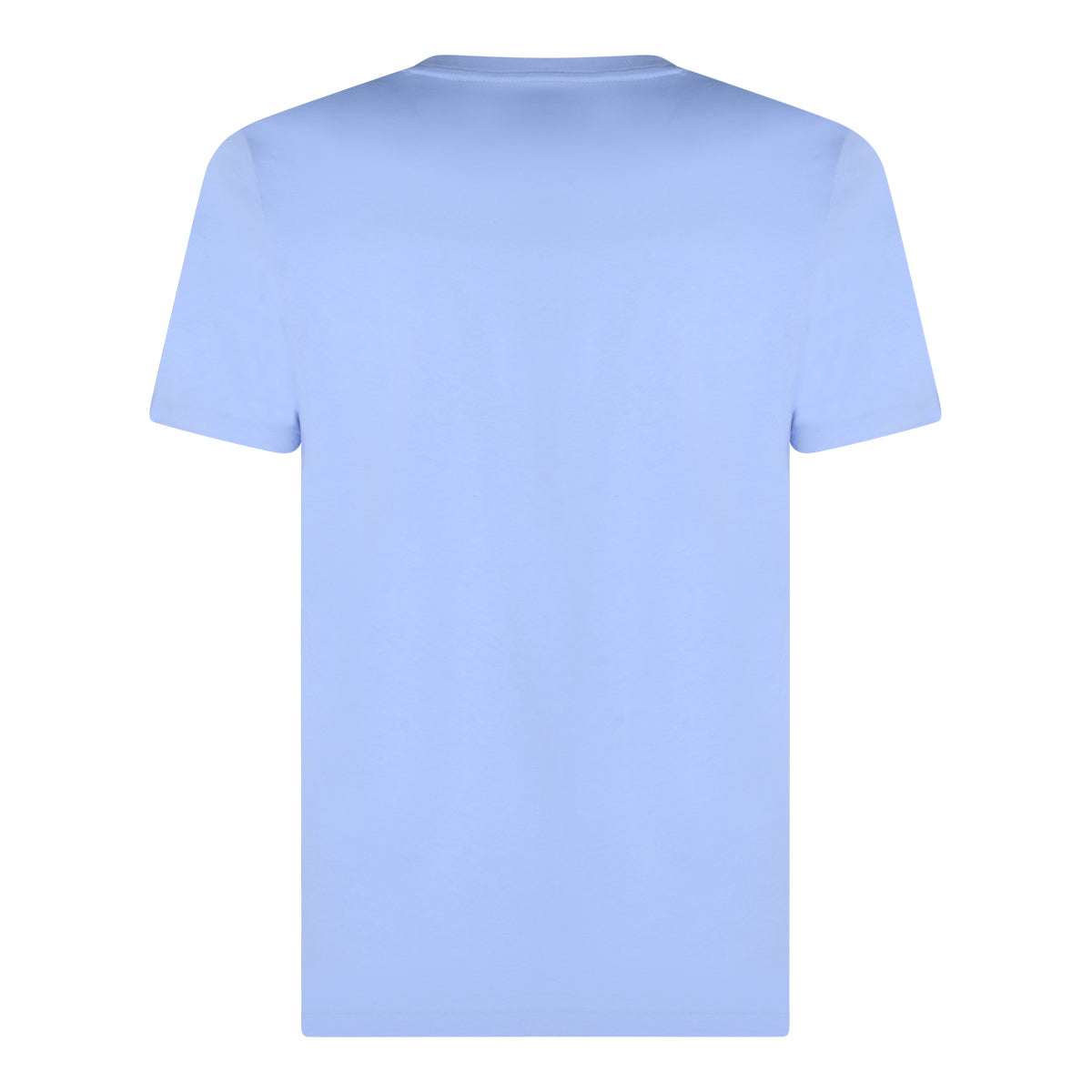 Polo Ralph Lauren T-shirts and Polos Austin Blue _100 % Co