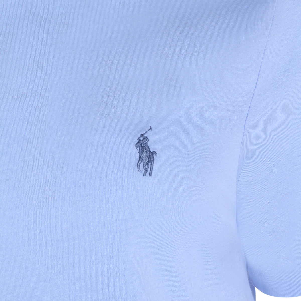 Polo Ralph Lauren T-shirts and Polos Austin Blue _100 % Co