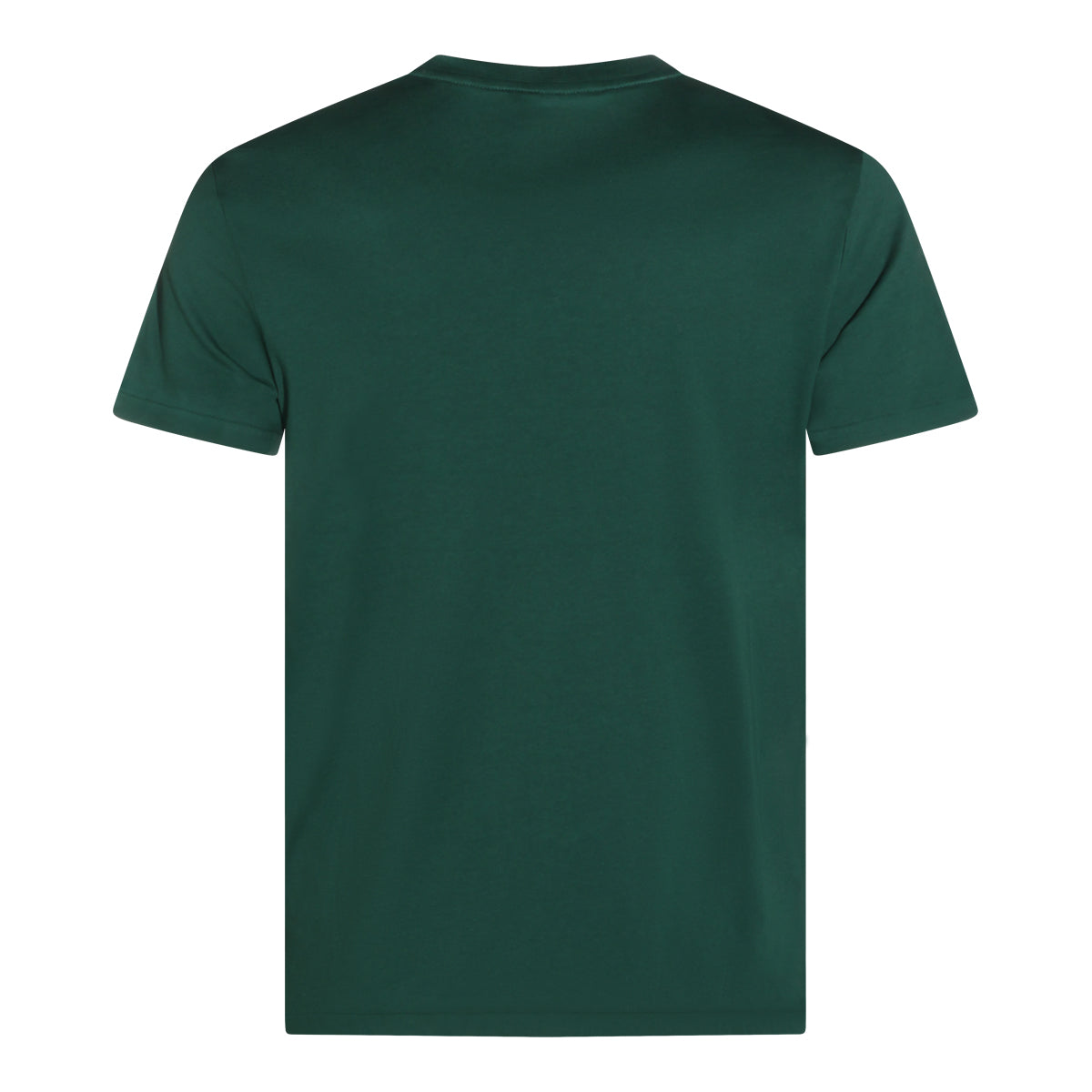Polo Ralph Lauren T-shirts and Polos New Forest/c1429 _100 % Co
