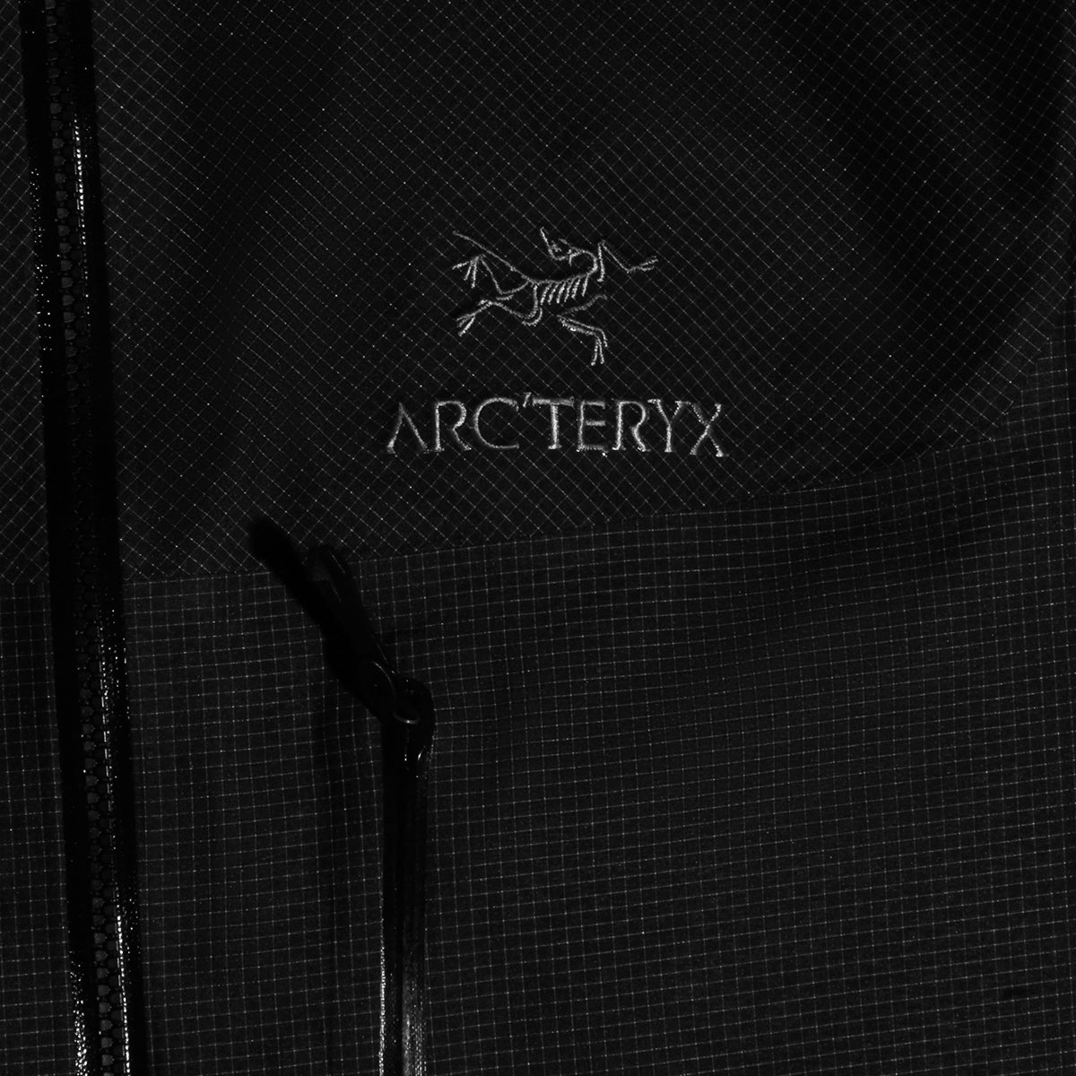Arc*teryx Jackets Black _ny Pu