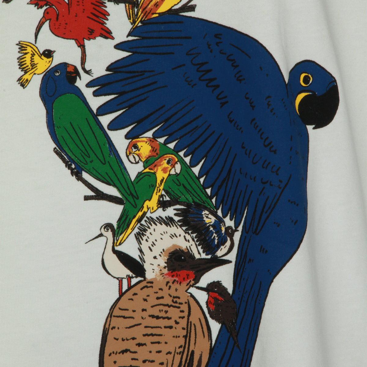 FARM RIO T-shirts and Polos Off-white _100 % Co