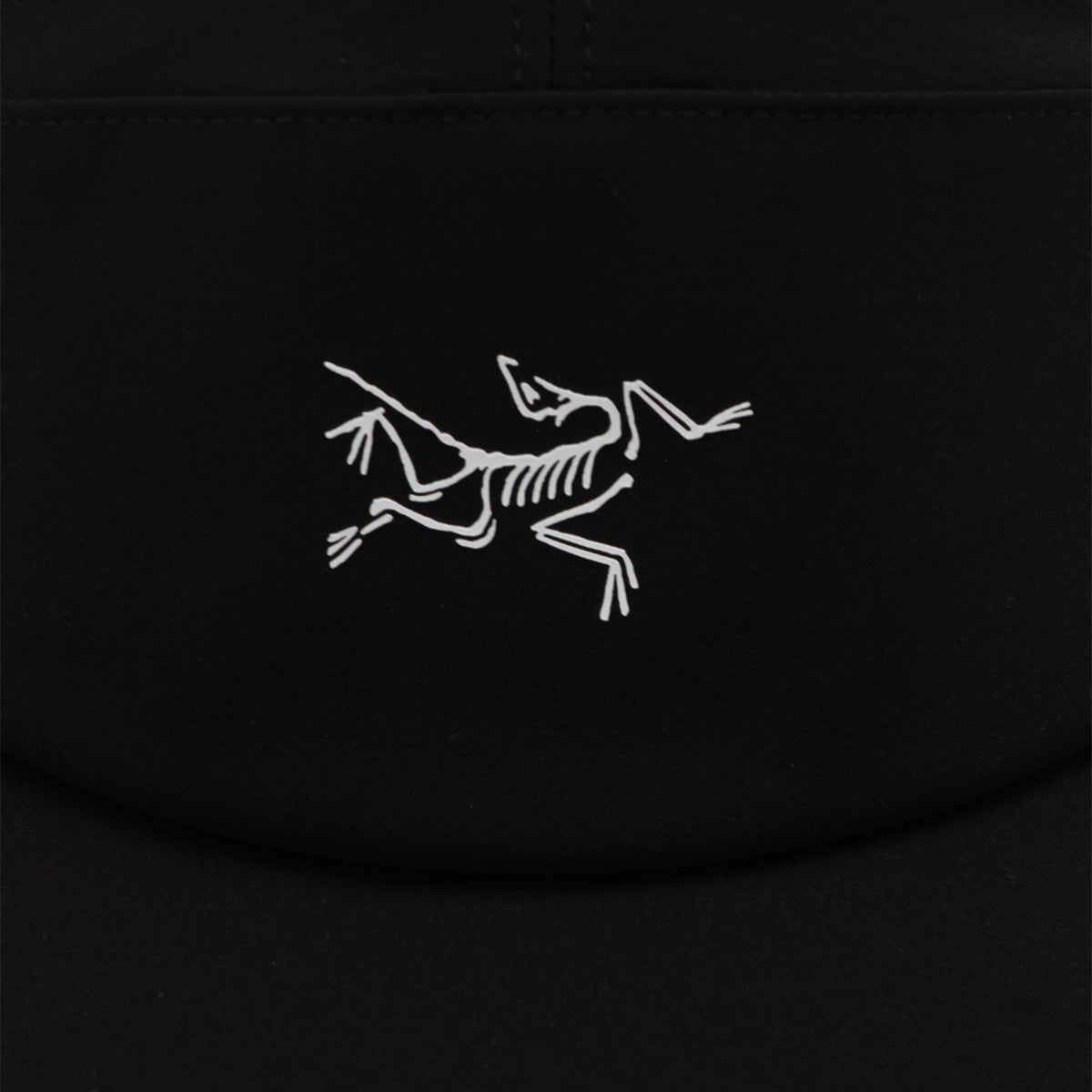Arc*teryx Hats Black/arctic Silk _pl