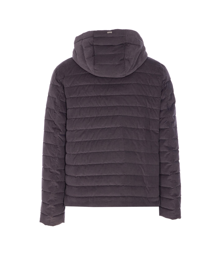 Herno Coats Grey Cotton