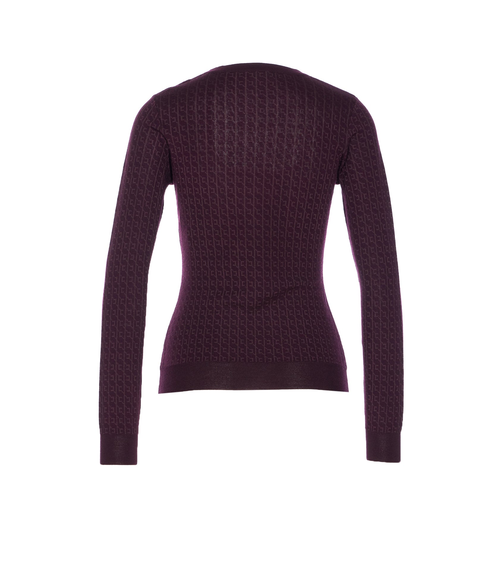 Elisabetta Franchi Sweaters Purple Viscose