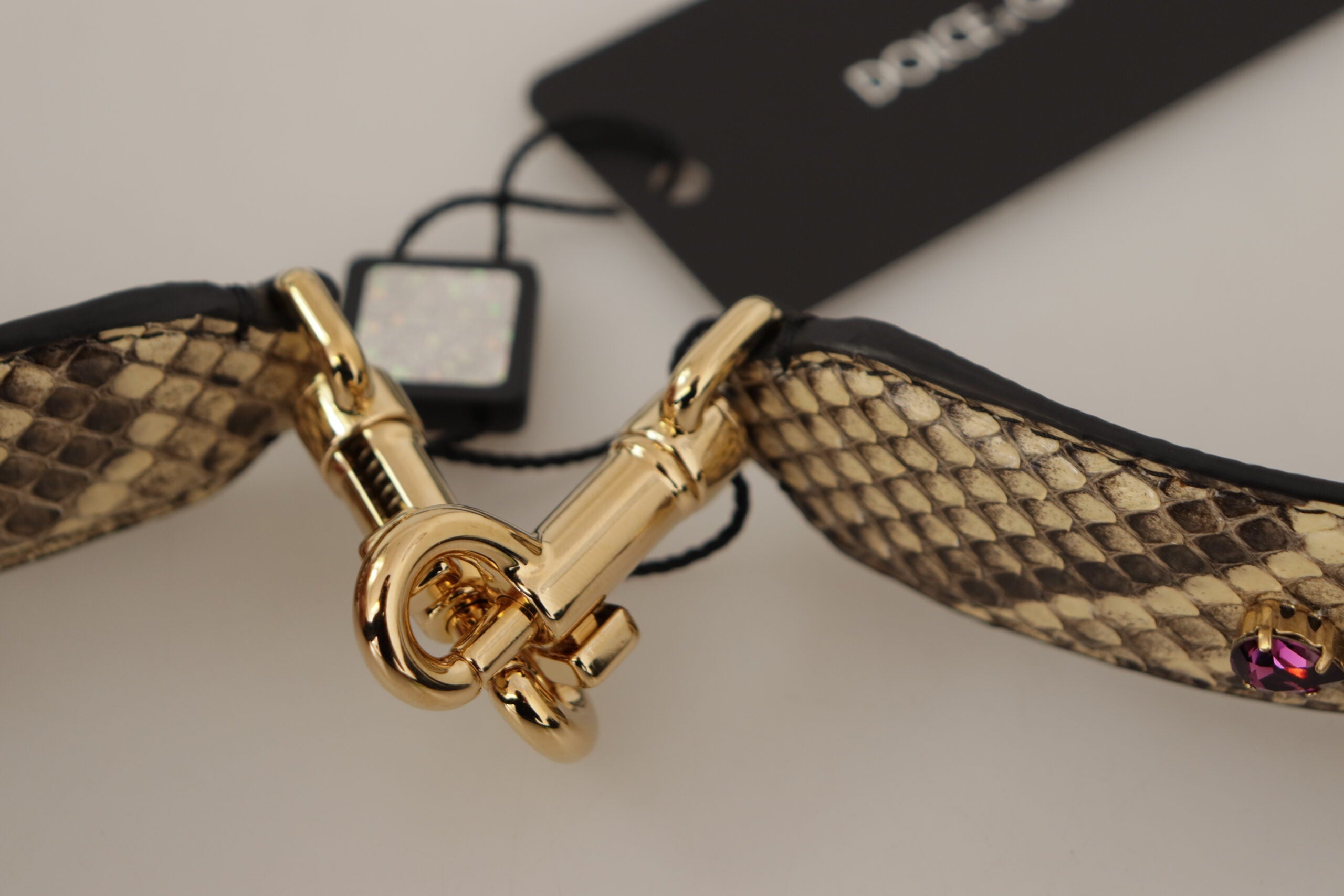 Beige Exotic Leather Crystals Reversible Shoulder Strap Python Bag