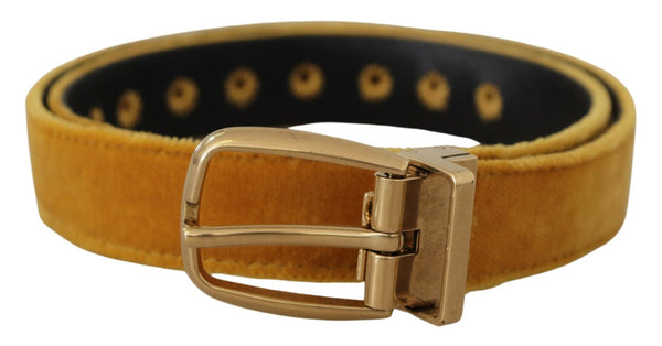 Dolce & Gabbana Velvet belt in gold