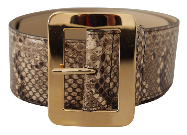 Dolce & Gabbana Python belt in brown