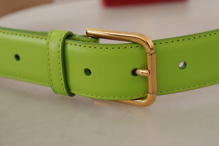 Dolce & Gabbana Leather belt in green — view 2