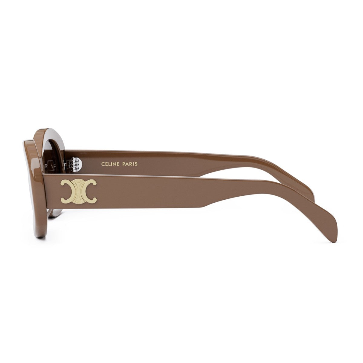 Triomphe Brown Acetato Sunglasses