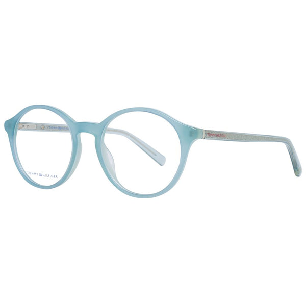Blue Plastic Glasses (frames) Accessory