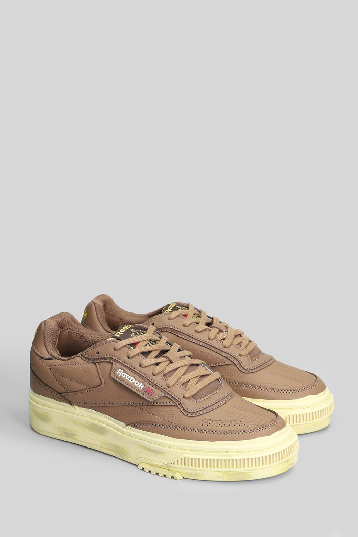 Club c ltd Sneakers in brown leather Scarpe