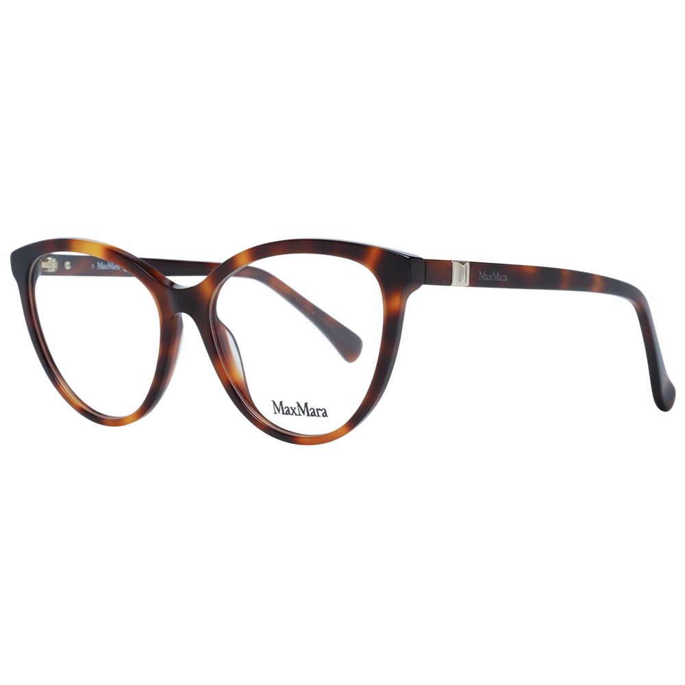 Brown Acetate Glasses (frames) Accessory