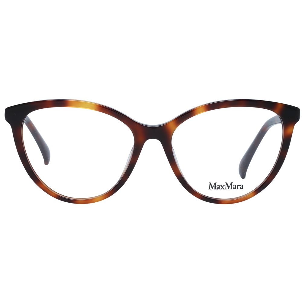 Brown Acetate Glasses (frames) Accessory