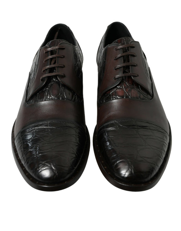 Dolce & Gabbana 61% Caiman Leather oxford in brown