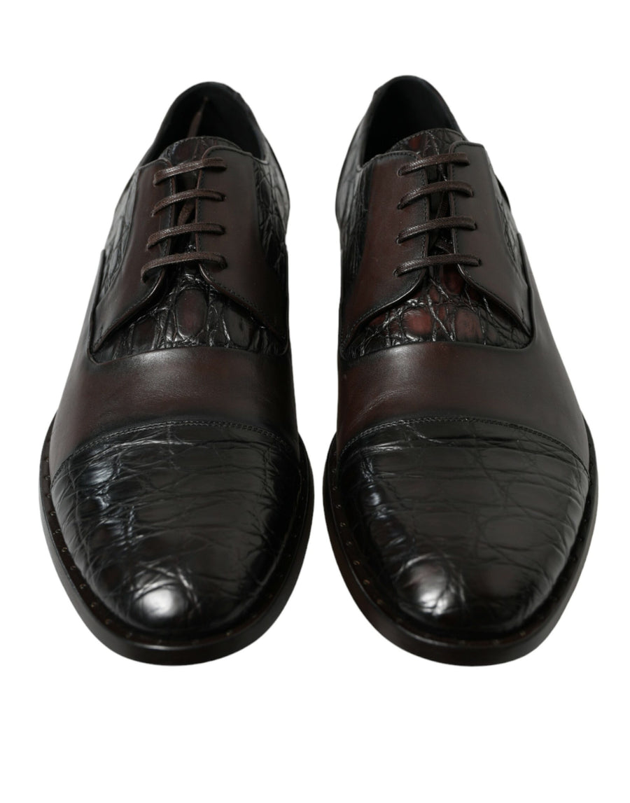 Dolce & Gabbana 61% Caiman Leather oxford in brown